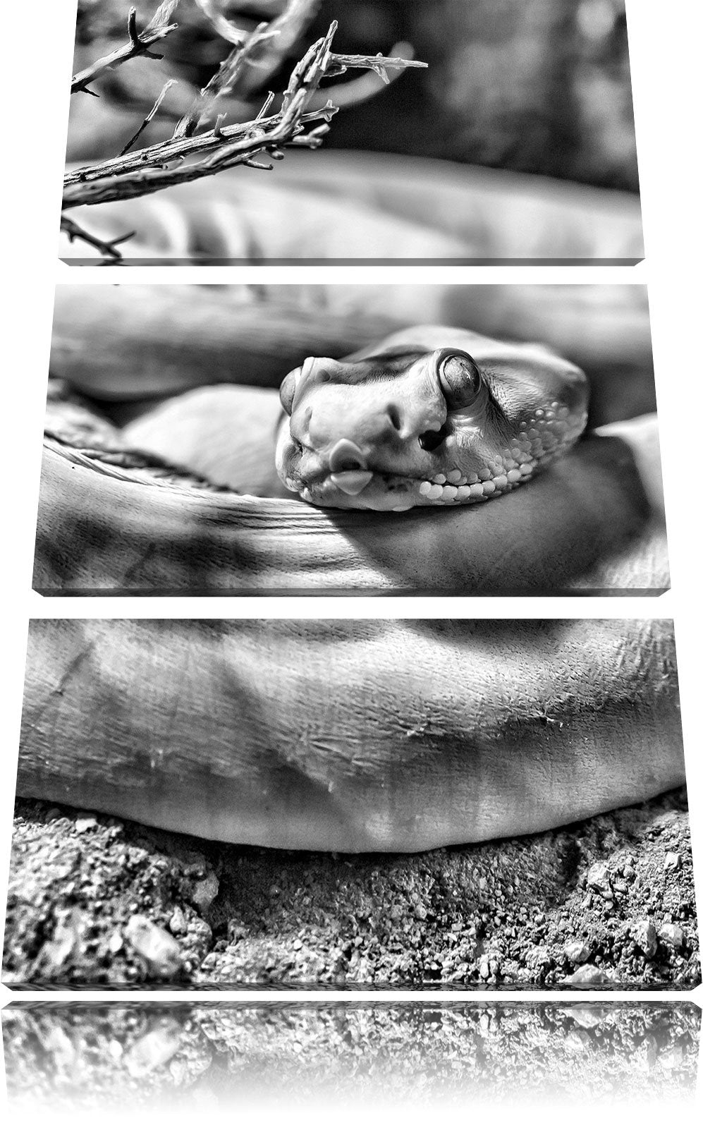 Pixxprint gelbe Schlange / 3-Teilig/Gesamtmass 120cm Leinwandbild bespannt auf Holzrahmen/Wandbild K