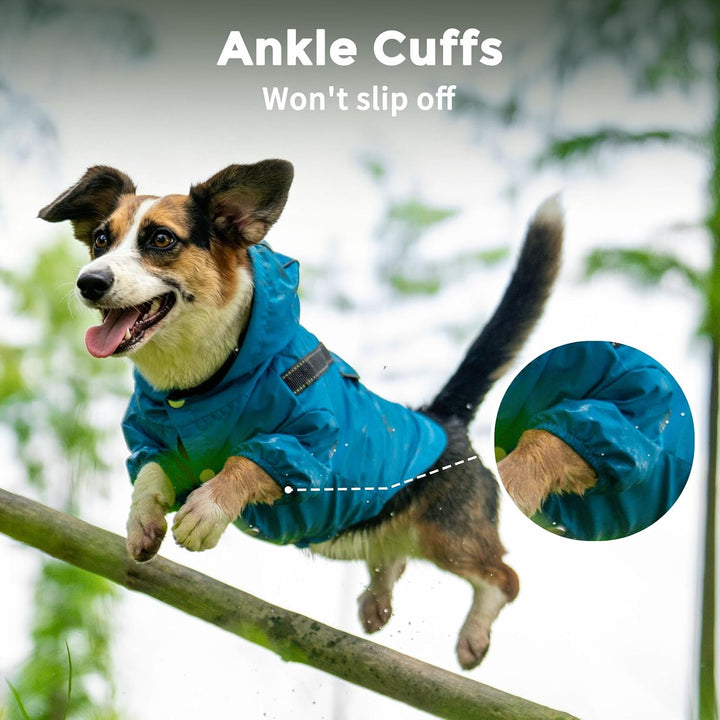 JoyDaog Regenmantel für kleine Hunde mit Kapuze, wasserdichte Outdoor-Regenjacke für Hunde, Welpen-R