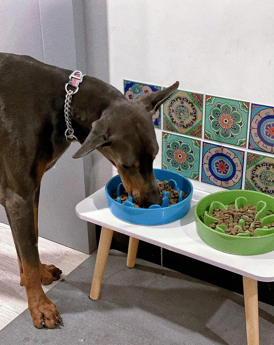 LE TAUCI Hundenapf aus Keramik, Antischlingnapf für Mittelgrosse und Kleine Hunde, Langsam Fressen u