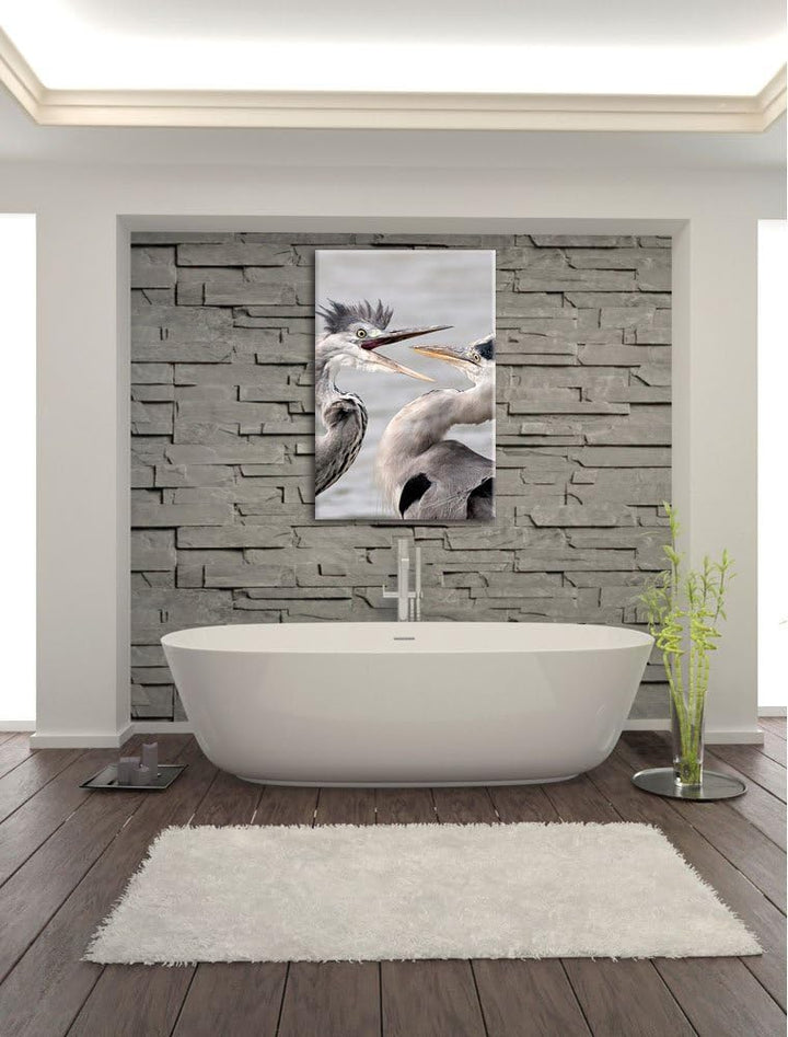 Pixxprint Zankende Vögel, Format: 100x70 auf Leinwand, XXL riesige Bilder fertig gerahmt mit Keilrah