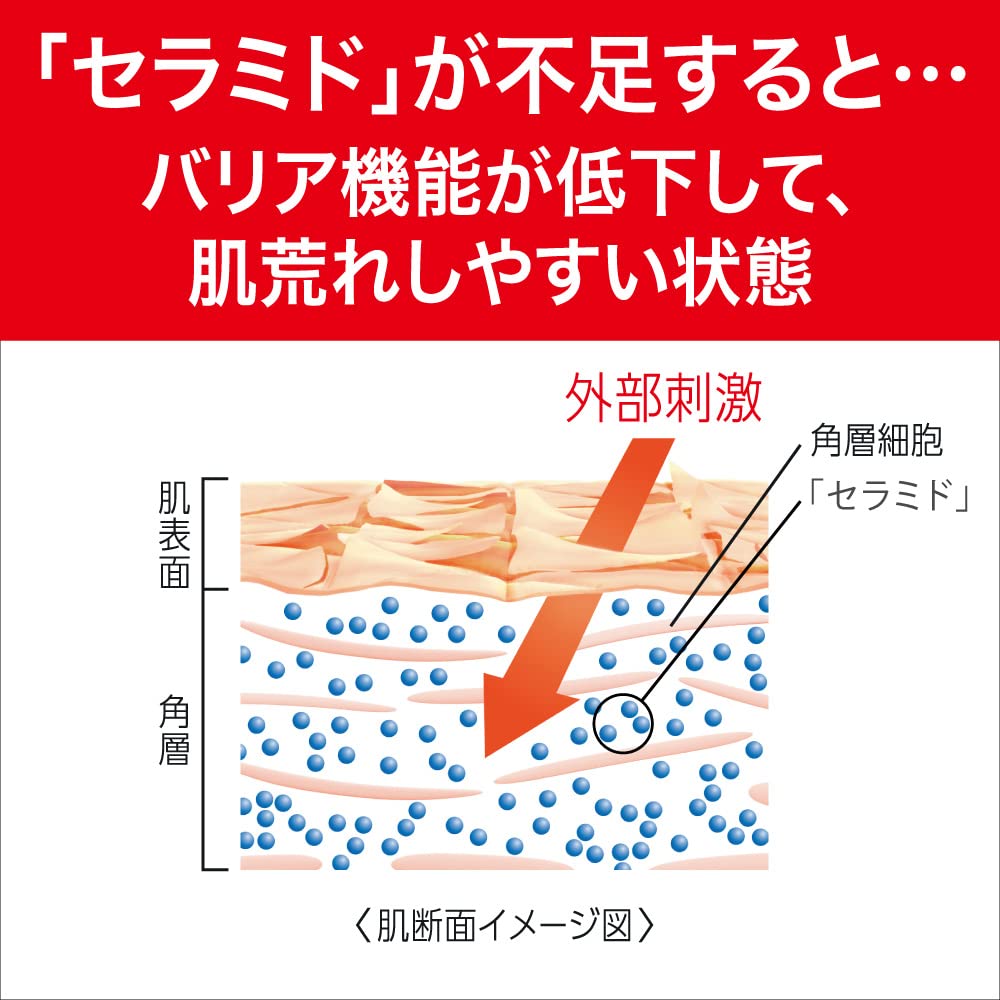 Curel JAPAN Kao Curel | Face Care | Moisture Lotion I Light 150ml