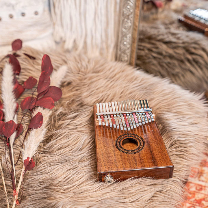 Meinl Sonic Energy PKL1707H Kalimba mit Tonabnehmer Pickup Daumenklavier + keepdrum Schlüsselanhänge