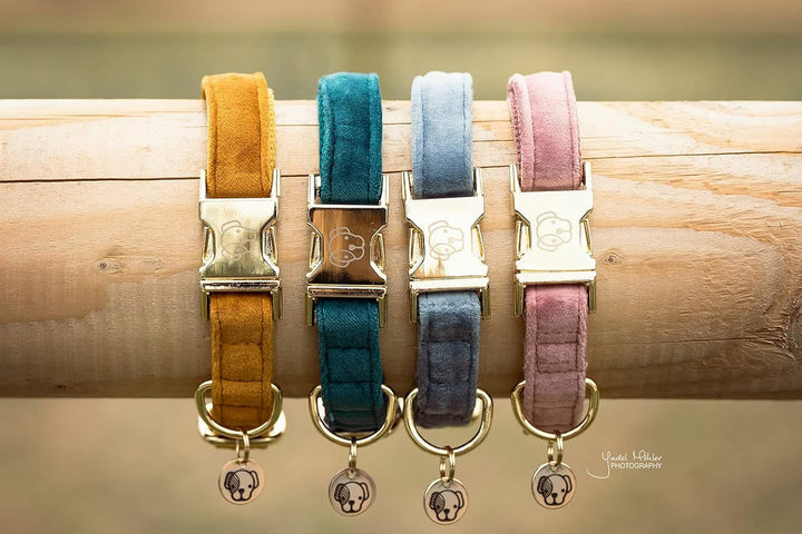 Kentucky Dogwear Halsband Dog Collar 'Velvet' - Old Rose, L L soft rose, L soft rose