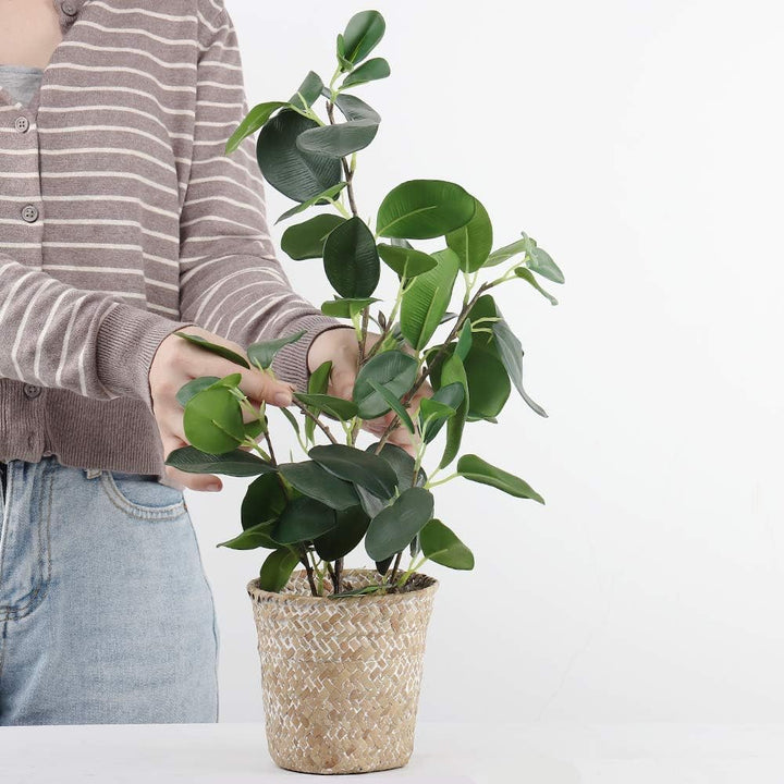 SAROSORA Künstlicher Ficus-Baum, künstliche Pflanzen in gewebtem Topf, 50,8 cm Höhe, für Wohnzimmer,