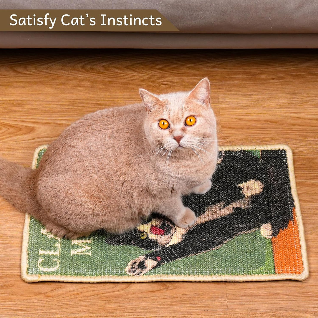 SOLDAY Kratzmatte Katze für Boden, Wand, Teppich, Couchmöbel, 56x33 cm Anti-Kratzer Möbel Schutz, Kr