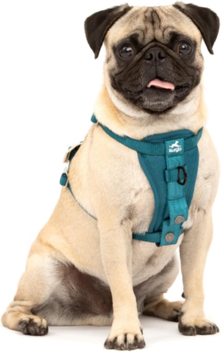 Kurgo Tru-Fit Hundegeschirr, Crash-Test-erprobtes Auto-Sicherheitsgurt, Für Hunde von 2 bis 5 kg, Gr