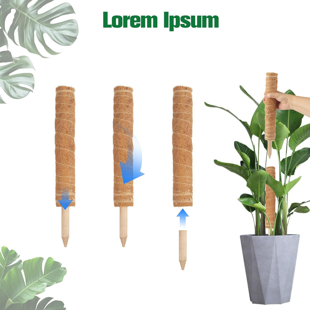 4 Stück Moosstab für Monstera, 40cm Monstera Rankhilfe mit Pflanzen Zubehör, VerläNgerbar Up To160cm