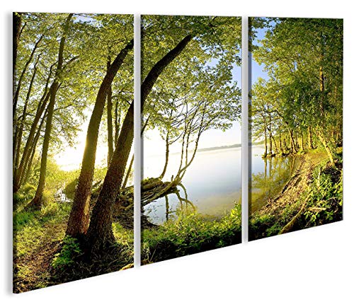 islandburner Bild Bilder auf Leinwand Treelake V2 Baum am See 3p XXL Poster Leinwandbild Wandbild De