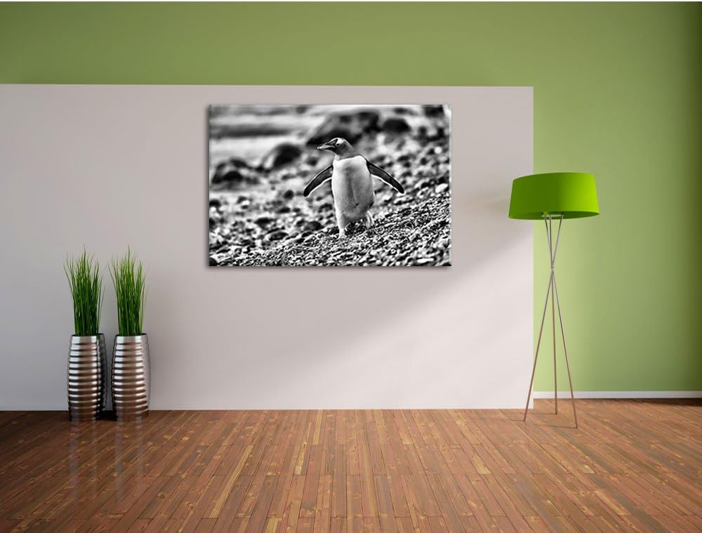 Monocrome, Pinguine, Format: 100x70 auf Leinwand, XXL riesige Bilder fertig gerahmt mit Keilrahmen,