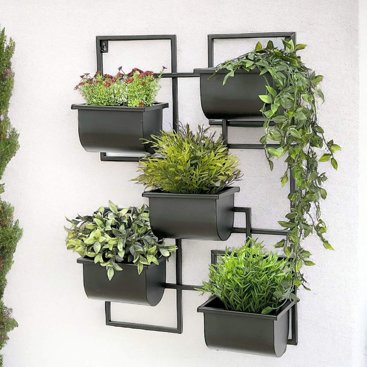 DanDiBo Kräuterregal Küche Wand Metall Schwarz 96525 Wandregal Blumenregal Pflanzenhalter Wandblumen