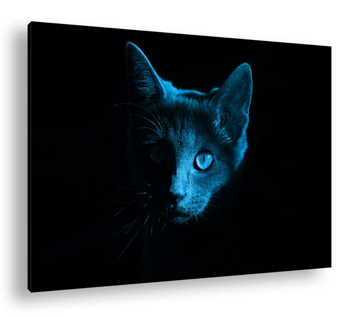 deyoli Dark Schwarze Katze Format 80x60 Effekt: Monocrome Blau als Leinwandbild, Motiv fertig gerahm