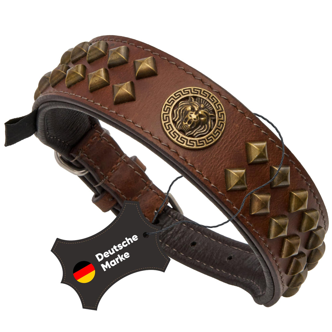 MICHUR Diego Braun 1. Wahl !! Hundehalsband Leder Lederhalsband Hund Halsband Löwenkopf Nieten Messi