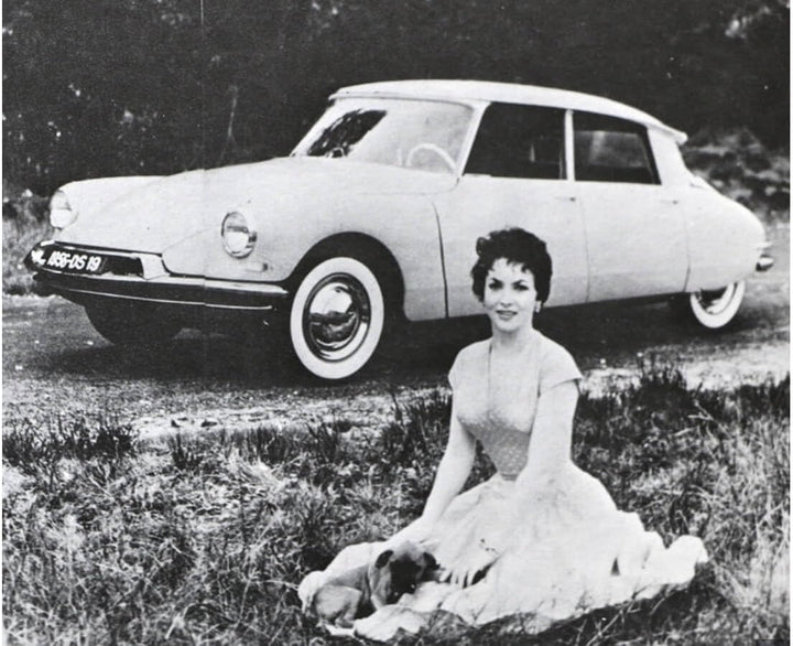 NOREV - CIT DS 19-1956 - 1/18