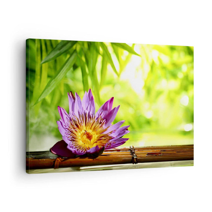 ARTTOR Bilder auf Leinwand Asien spa bambus blume Leinwandbild 70x50cm Wandbilder Dekoration Wohnzim