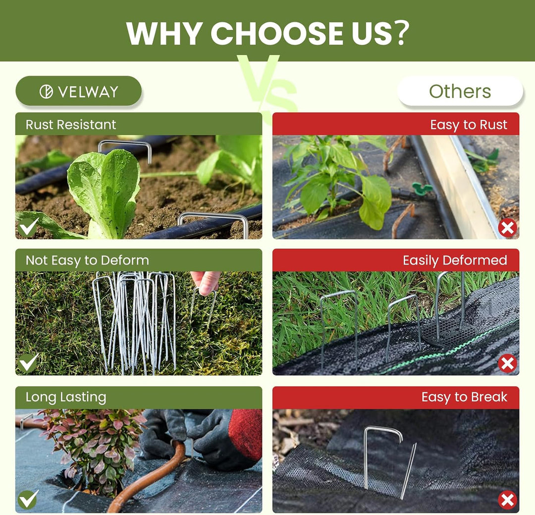 Velway 250 Stück Erdanker Anti-Rost Verzinkte - 150mm Lang 36mm Breit Ø 3mm Stabile Bodenanker für U
