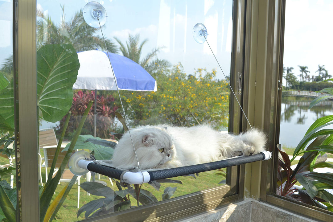 Katzen-Hängematte mit Saugnapf für Fenster, Sonnensitz, sehr stark, schwarz Gross schwarz, Gro&amp;