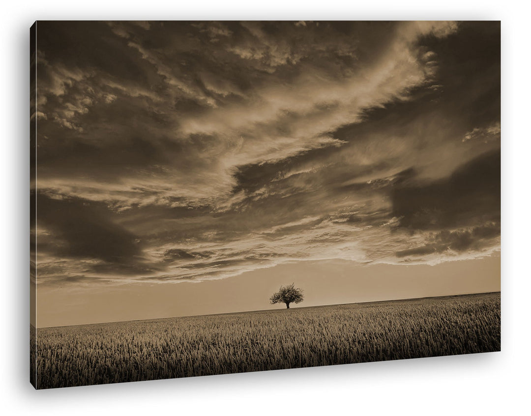 deyoli EIN einzelner Baum auf einem weitem Feld Format: 120x80 Effekt: Sepia als Leinwandbild, Motiv