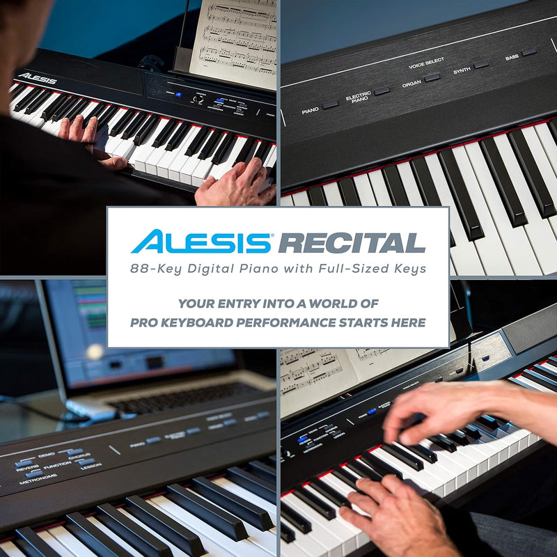 Alesis Recital - 88-Tasten Einsteiger Digital Piano Keyboard mit halbgewichteten Tasten & M-Audio SP