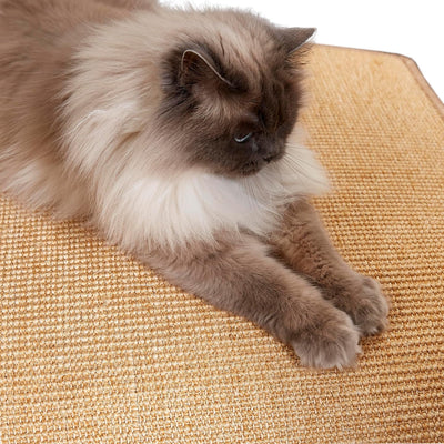 Kratzmatte für Katzen - Fussmatte Sisal Kratzteppich - natürliche Sisalmatte robust - Vorleger aus 1