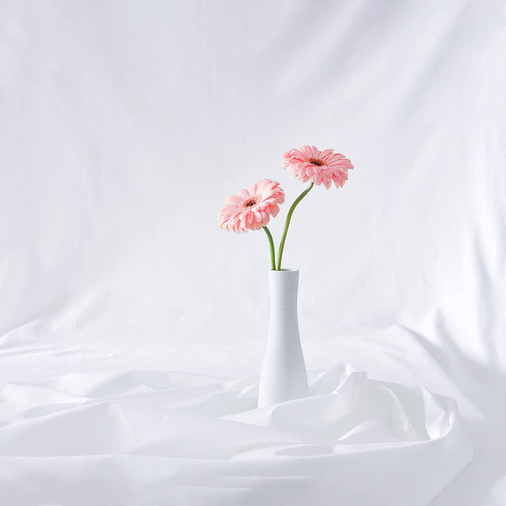 Vevelux Fotografie-Hintergrund 3 * 3 M, Foto Hintergrund aus 100% Polyester mit 4 grosse Studio Klem