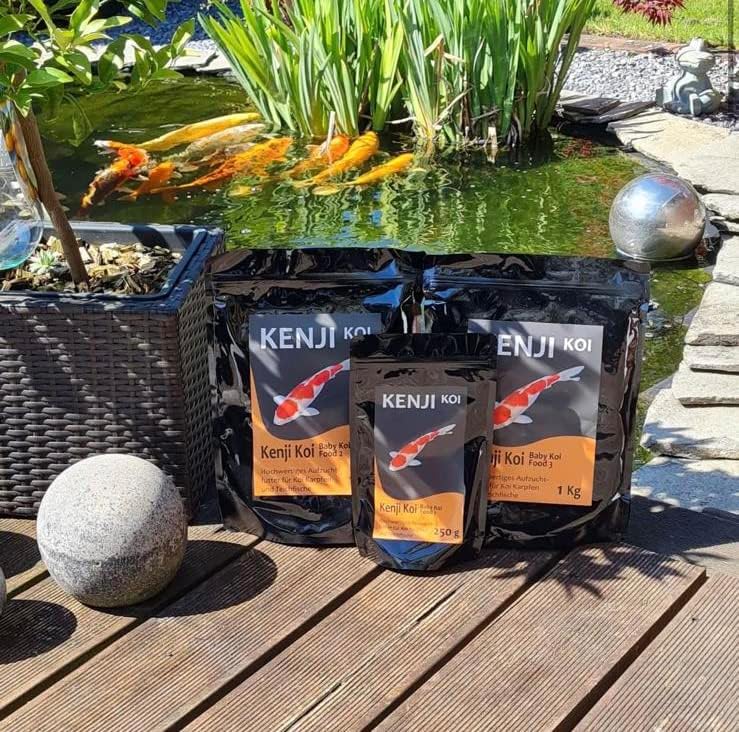 KENJI KOI Baby Koi Food 1-3 Aufzuchtfutter-Set Brutfutter Koifutter - Koi Aufzucht wie bei den Profi