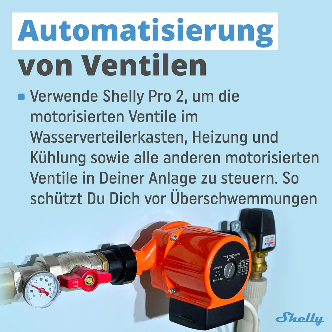 Shelly Pro 2 | Wlan, LAN & Bluetooth 2 Kanäle Smart Relais | Haus- & Gebäudeautomation |Alexa & Goog