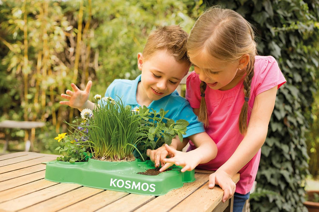 Kosmos 634919 - Mein erstes Gewächshaus, Das Original, Erstes Gärtnern für Kinder ab 5 Jahre, Komple