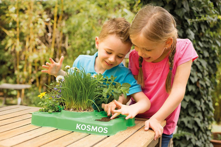 Kosmos 634919 - Mein erstes Gewächshaus, Das Original, Erstes Gärtnern für Kinder ab 5 Jahre, Komple
