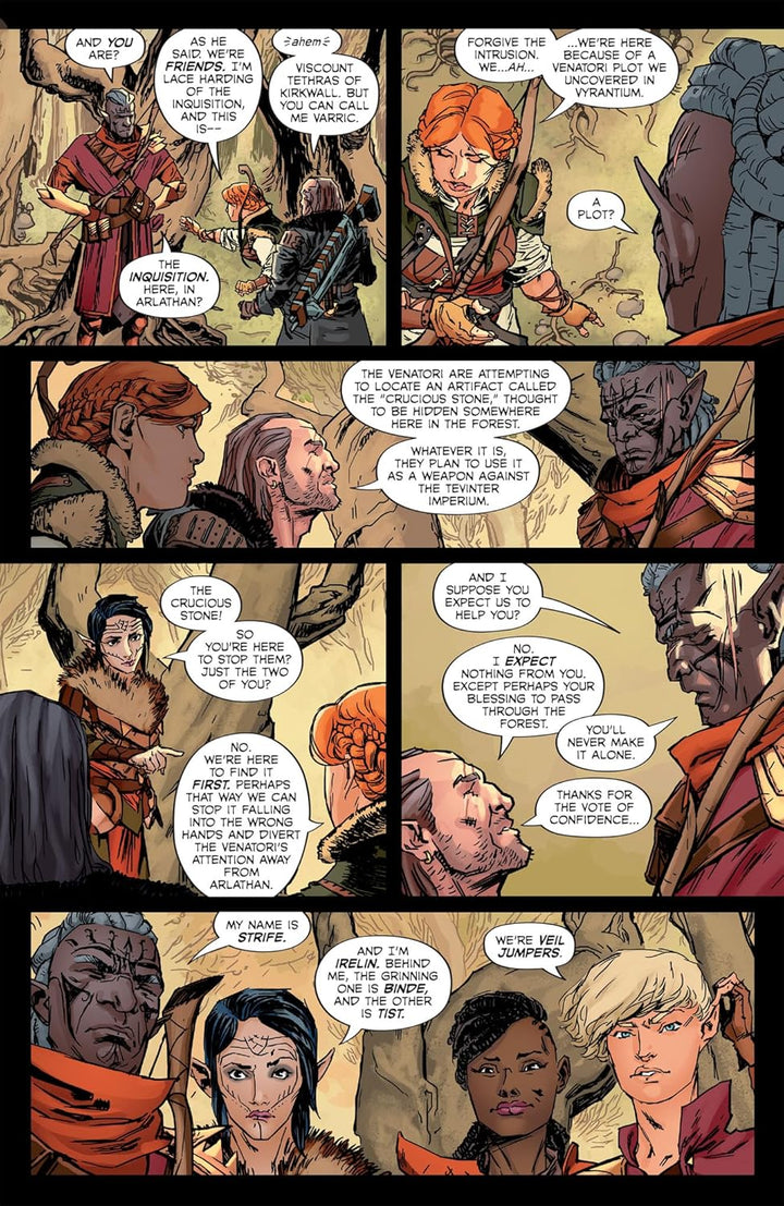 Dragon Age: The Missing, Taschenbuch