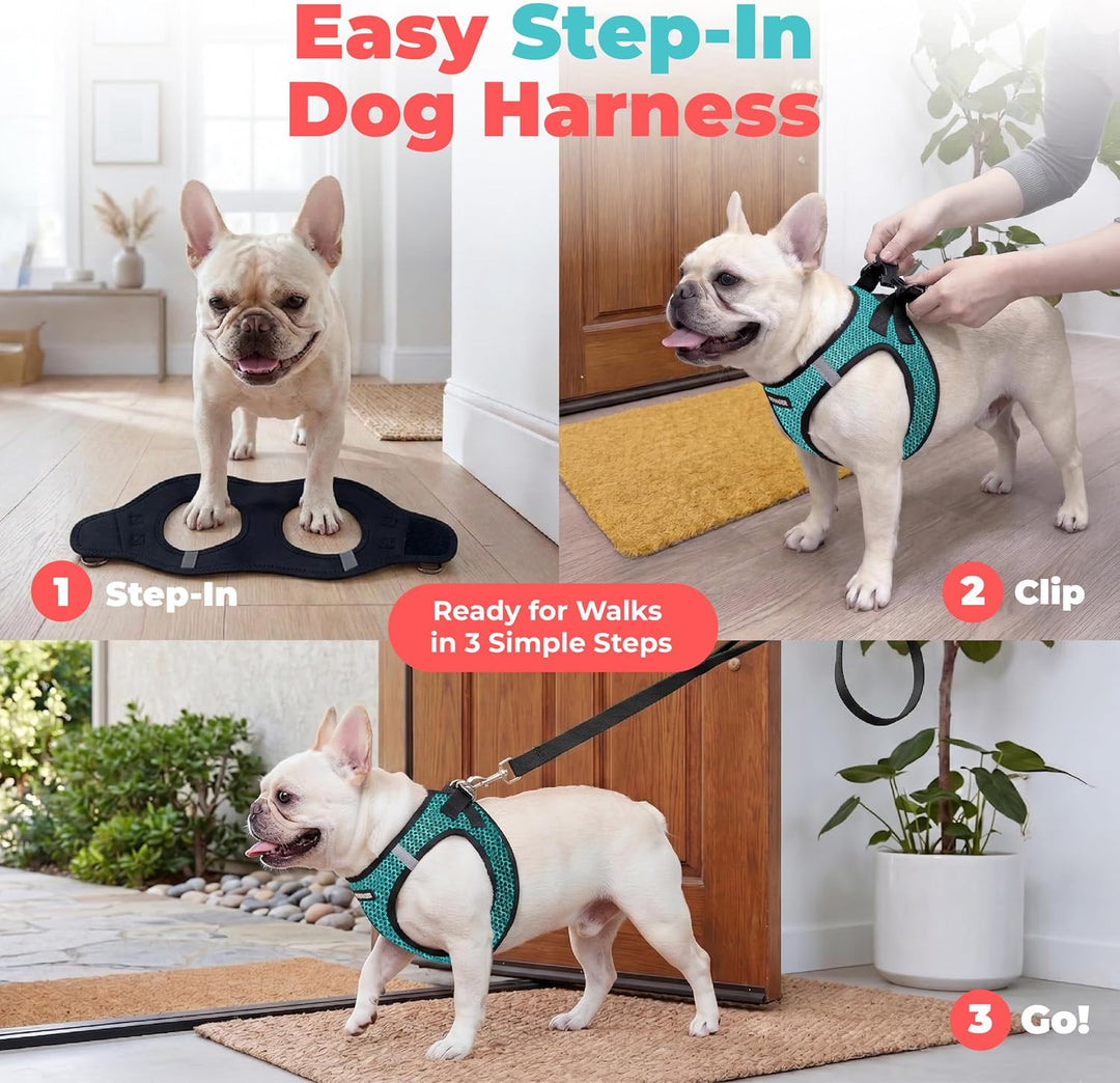 Best Pet Supplies Voyager Step-In Air Hundegeschirr - Allwetter-Mesh-Geschirr für kleine und mittelg
