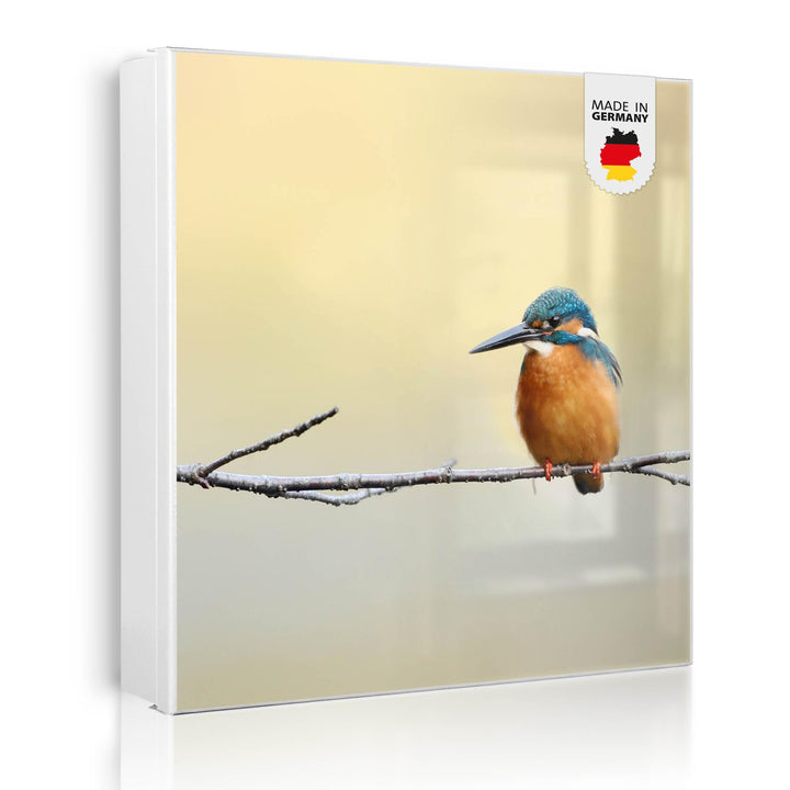 banjado® Grosser Schlüsselkasten Glas/Schlüsselbox 30cm x 30cm mit 50 Haken - Motiv Pause/Schlüsselk