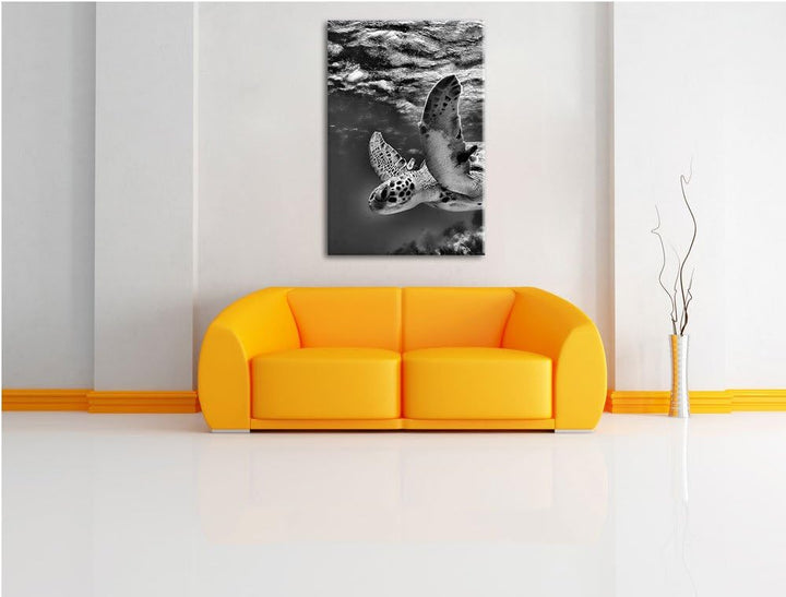Pixxprint Schildkröte im Riff als Leinwandbild/Grösse: 100x70 cm/Wandbild/Kunstdruck/fertig bespannt