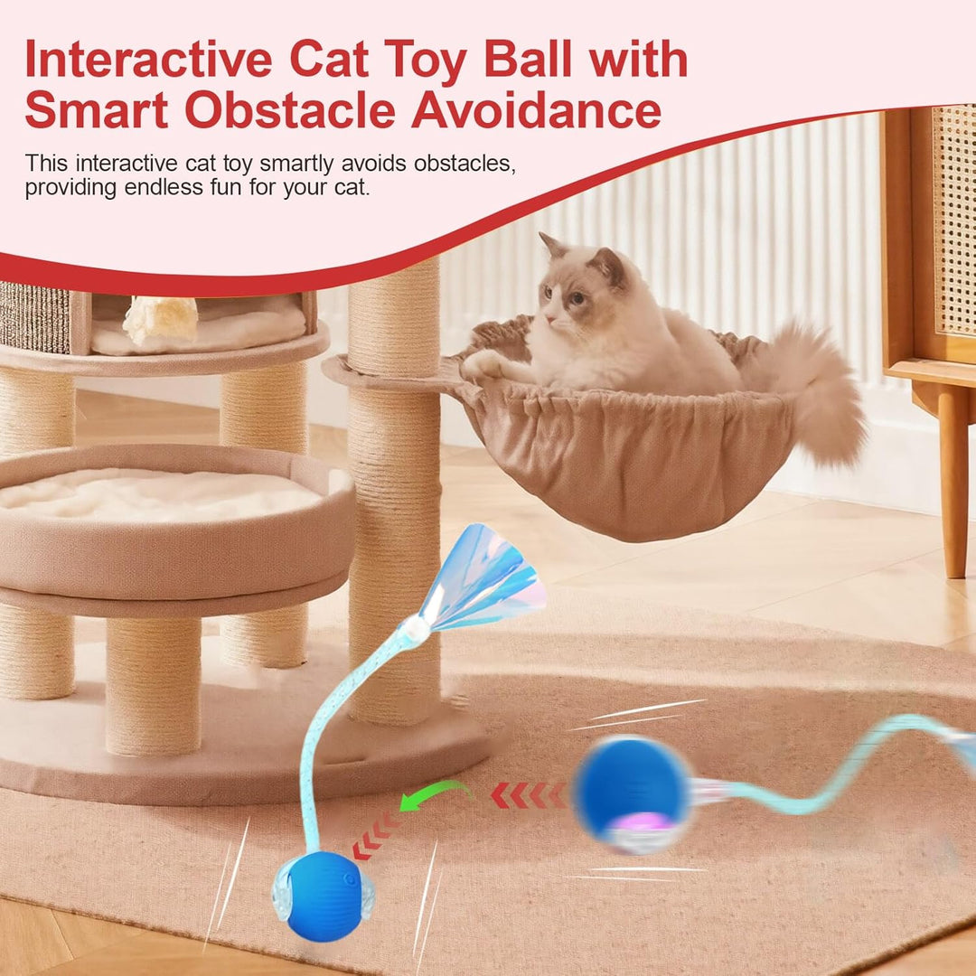 Interaktives Katzenspielzeug，Lot de 2 Katzenspielzeug，Katzenspielzeug Ball Mit Einem Blinkenden und