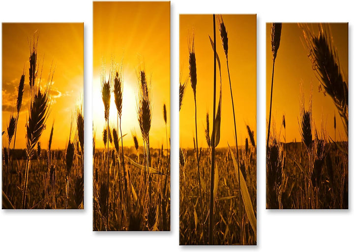 islandburner Bild auf Leinwand sonne landwirtschaft hintergrund brot getreide farbe mais dämmerung o