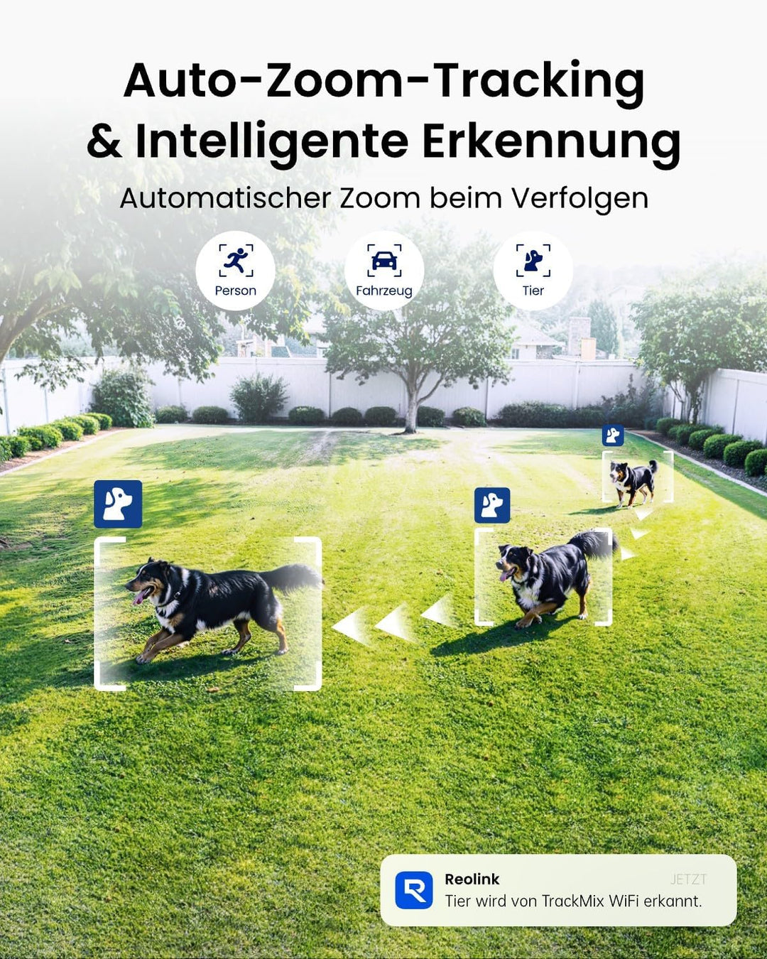 Reolink 4K 8MP Wi-Fi 6 PTZ Überwachungskamera Aussen Set, Auto-Tracking-Zoom, Dual-Objektiv, KI-Erke