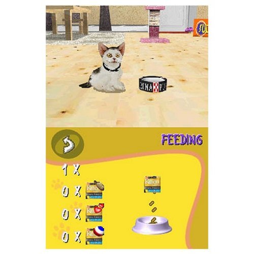 Mein erstes Katzenbaby [Software Pyramide]