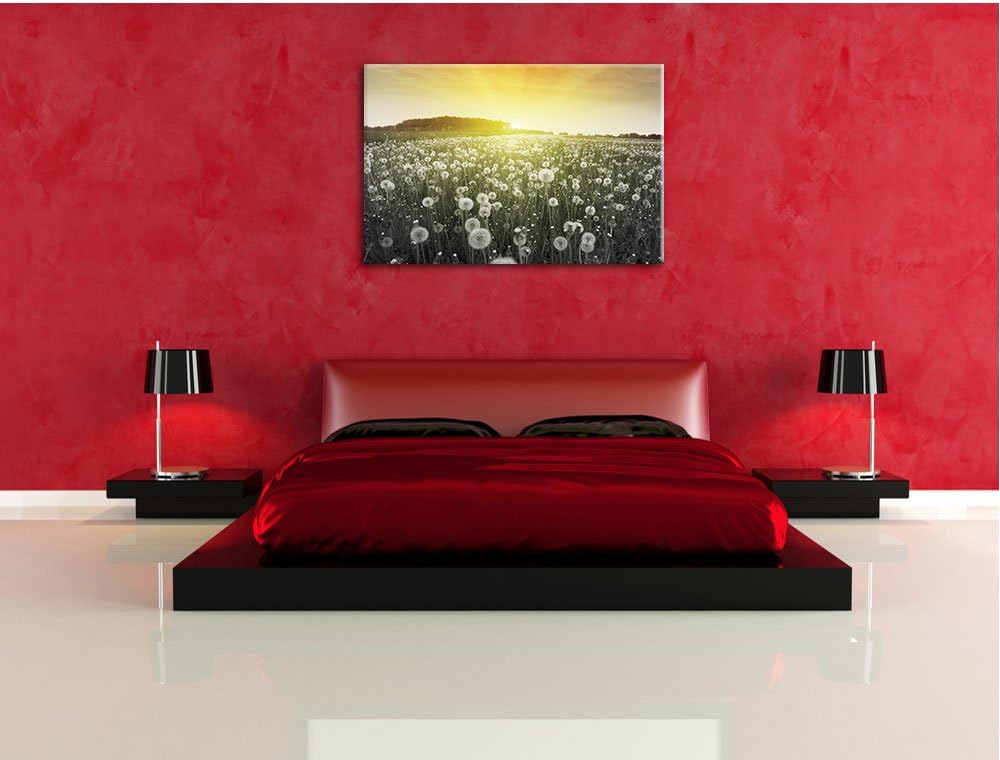 Pixxprint Pusteblumen Sonnenuntergang als Leinwandbild/Grösse: 100x70 / Wandbild/Kunstdruck/fertig b