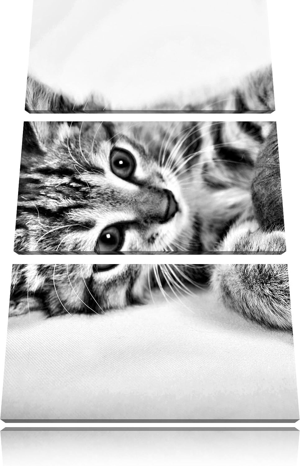 Pixxprint Kätzchen mit Wollknäuel als Leinwandbild/Grösse: 3 Teilig (120x80) cm/Wandbild/Kunstdruck/