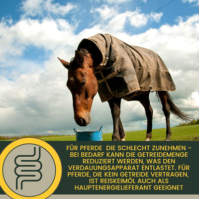 Reiskeimöl Leinöl 1L 30ml für Pferde Plus Vitamin E + Aminosäuren Pferd + Vitamin E komplex - Muskel