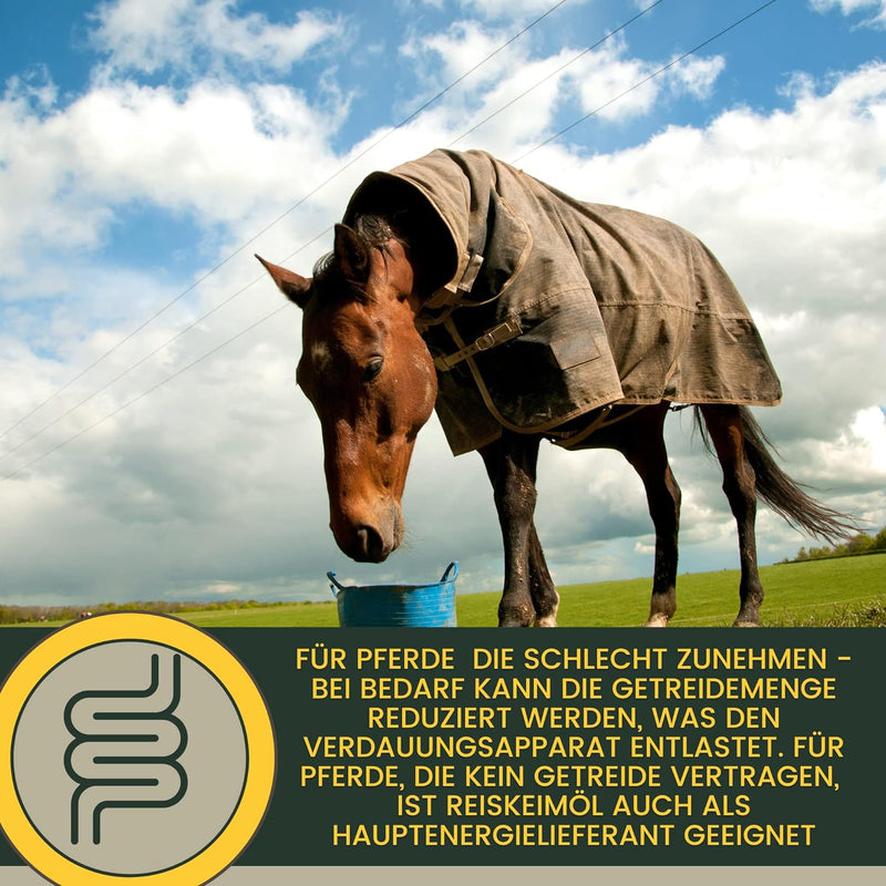 Reiskeimöl Leinöl 1L 30ml für Pferde Plus Vitamin E + Aminosäuren Pferd + Vitamin E komplex - Muskel