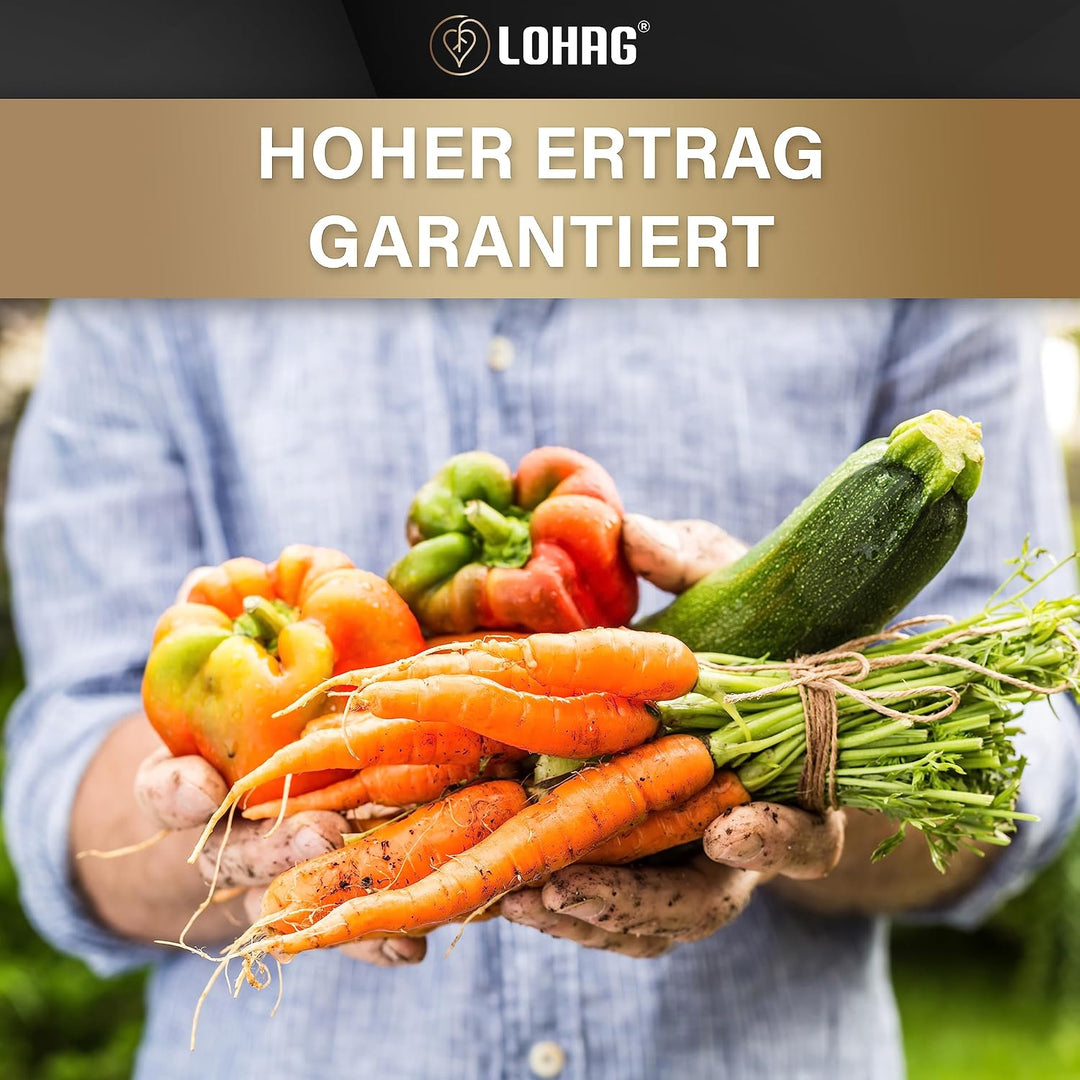 lohag® Premium Vliesstoff-Pflanzsack - 40 Liter, 3er Pack | Für Kräuter, Blumen, Gemüse &amp; Zimmerpfla