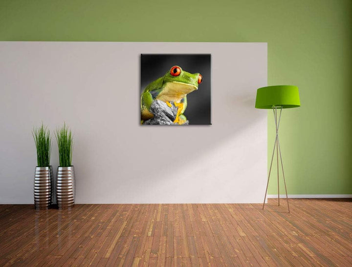 Pixxprint schöner Rotaugen Frosch als Leinwandbild/Grösse: 70x70 cm/Wandbild/Kunstdruck/fertig bespa