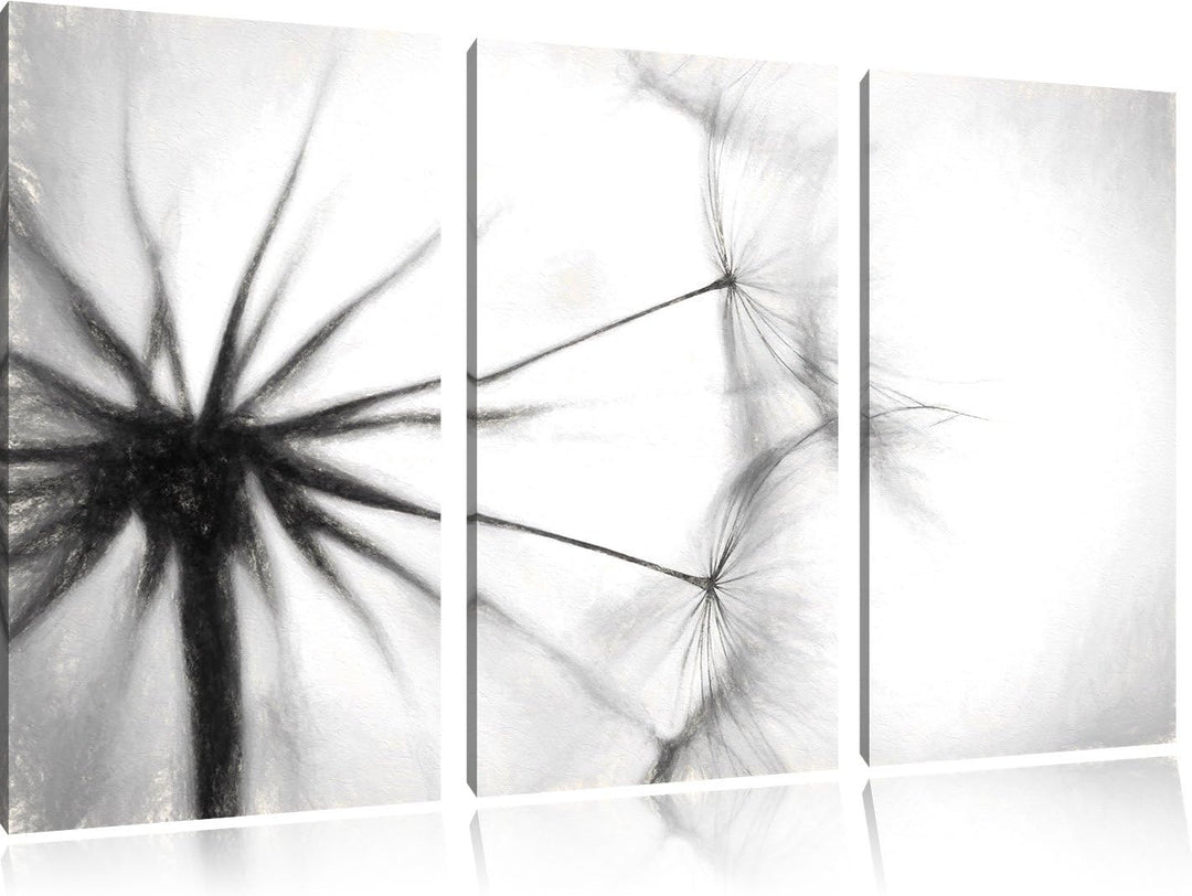 Pixxprint Pusteblumen Kohle Effekt 3-Teiler Leinwandbild 120x80 Bild auf Leinwand