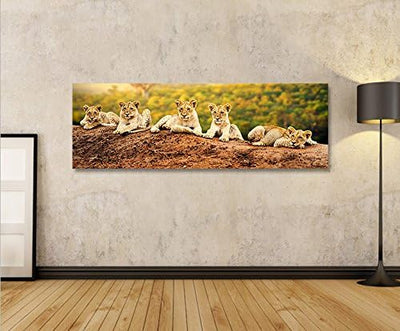 islandburner Bild Bilder auf Leinwand Löwen Kinder Babies Raubkatze Panorama XXL Poster Leinwandbild