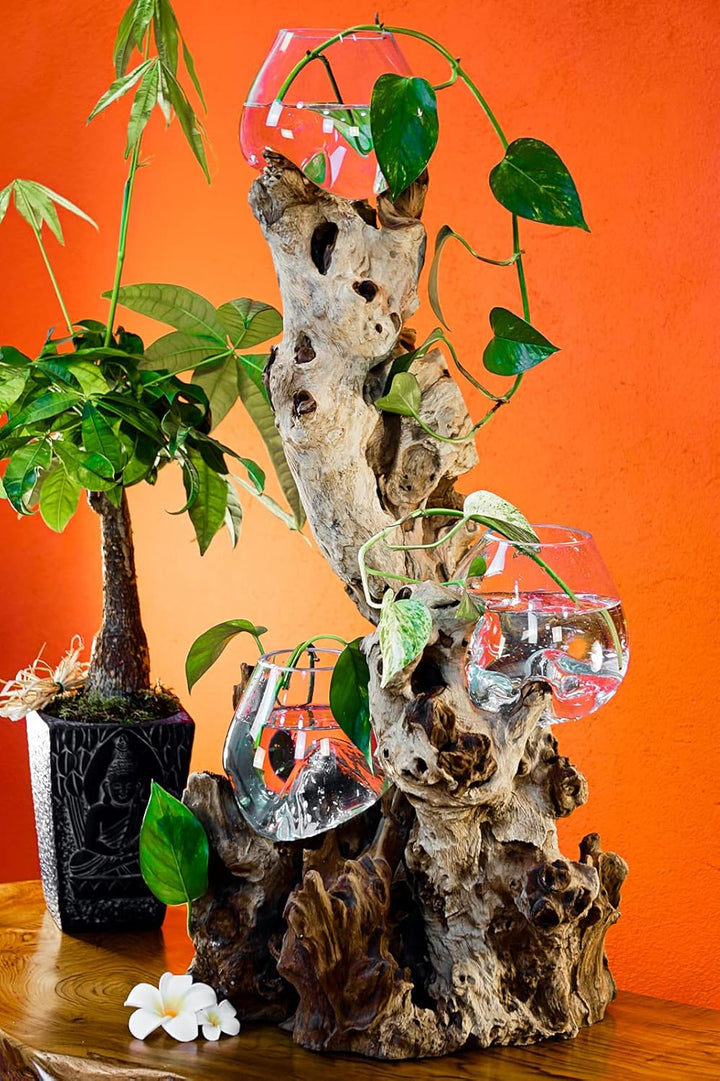 Kinaree Geschmolzenes Glas auf Wurzelholz - Glasschale auf Wurzel - Teak Holz mit Glasvase oder Scha