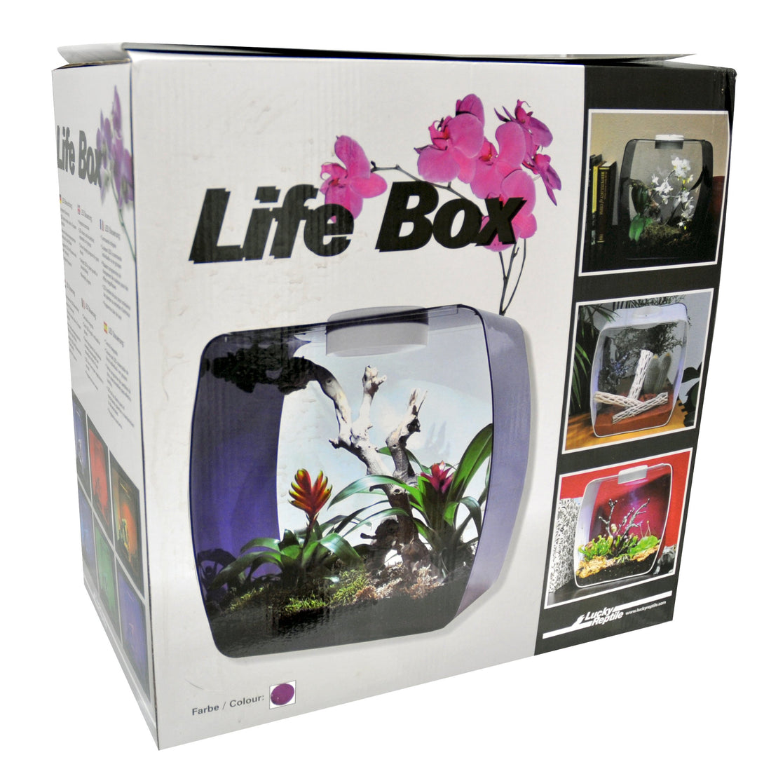 Lucky Reptile Life Box, Grösse:30x18x30 cm. Farbe Beere beere klein, beere klein