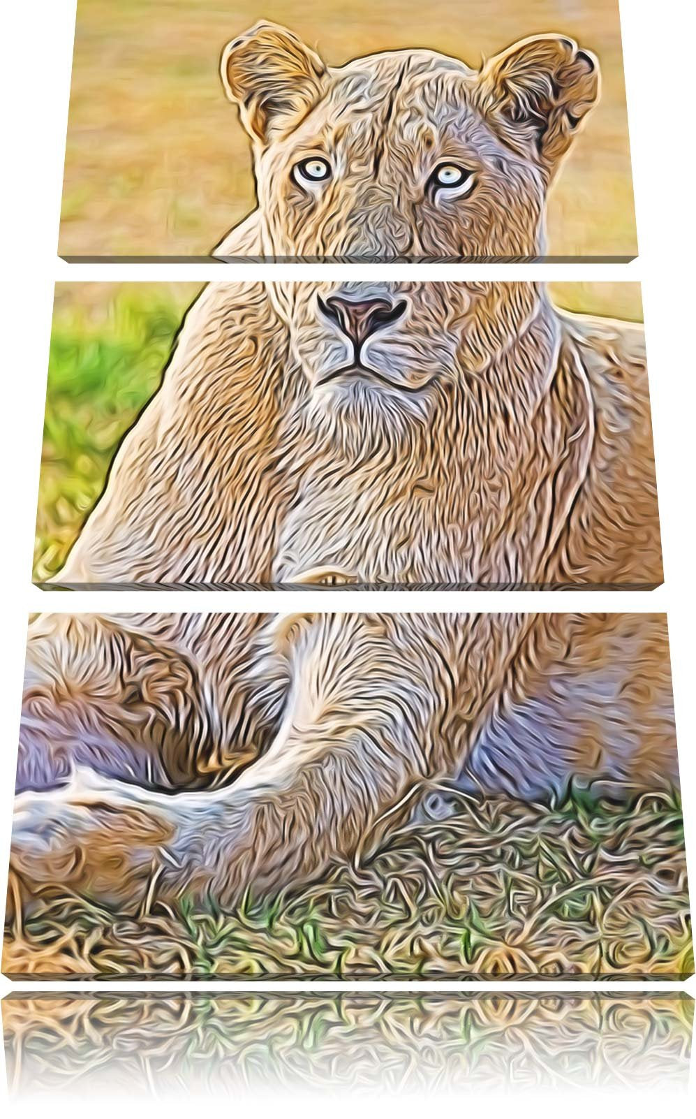 prächtige weisse Löwin Spezial 3-Teiler Leinwandbild 120x80 Bild auf Leinwand, XXL riesige Bilder fe