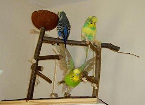 Vogelgaleria Luxus Vogelspielplatz aus Natur Holz mit Abnehmbarer Futterschale | Ideales Spielzeug b