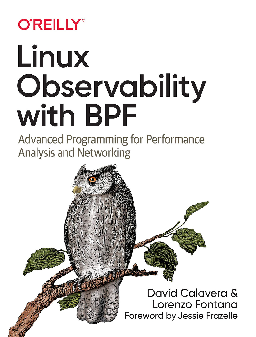 Linux Observability with Bpf: Advanced Programming for Performance Analysis and Networking, Taschenb