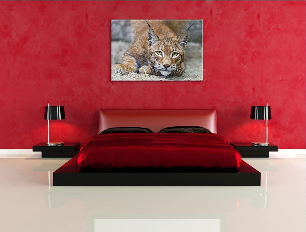 Pixxprint wachsamer Luchs auf Leinwand, XXL riesige Bilder fertig gerahmt mit Keilrahmen, Kunstdruck
